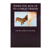 Friend Humour Funny Happy Birthday Card