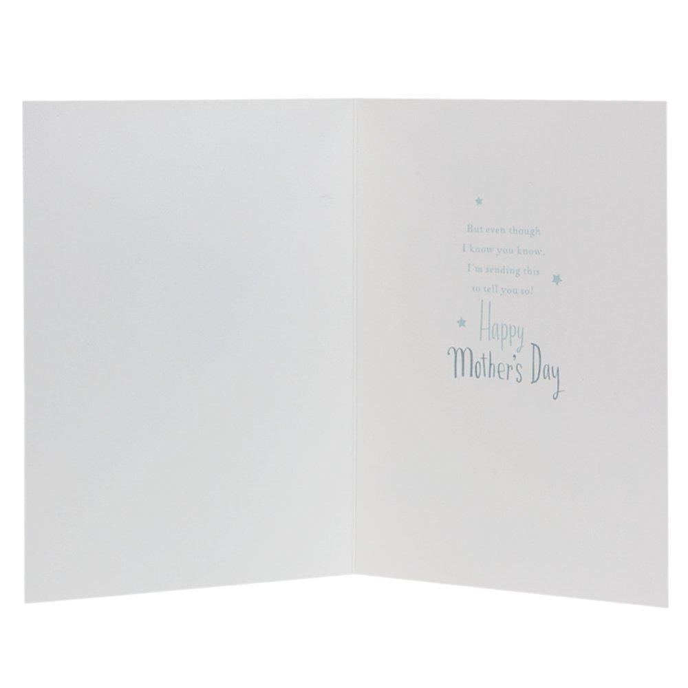 Mother's Day Card 'Cute Dylan and Thomas 3D Character'