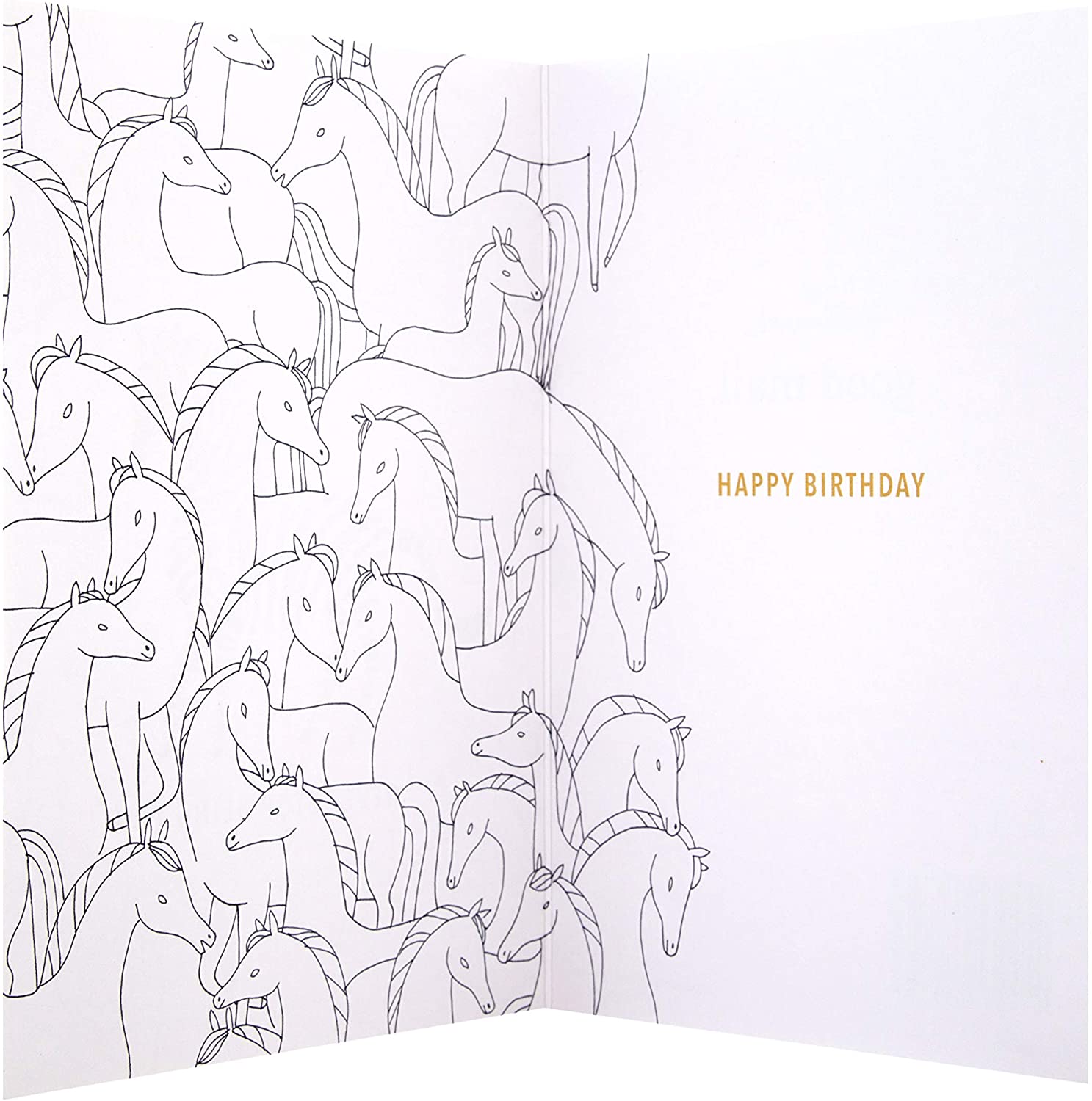 General Birthday Card Contemporary Zebra Design
