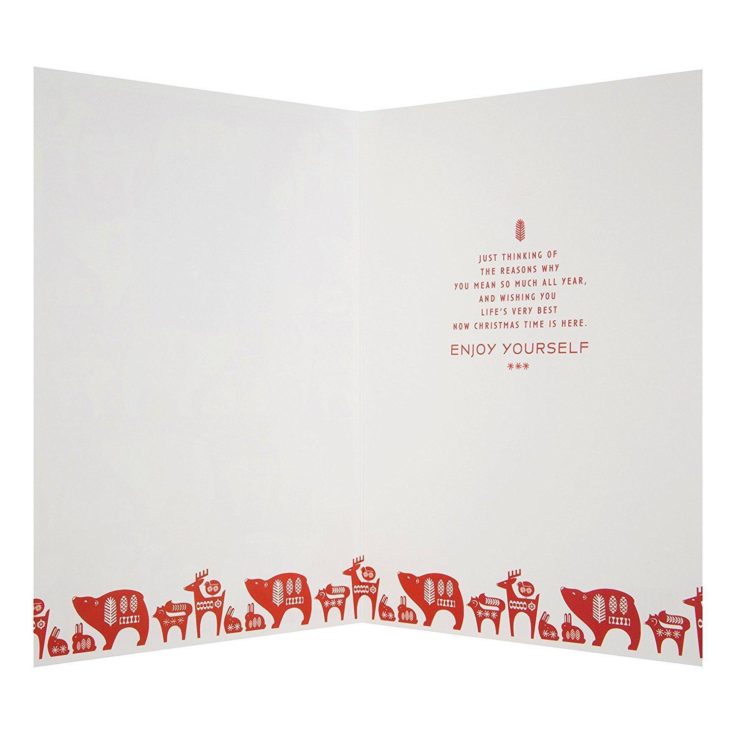 Grandson "Enjoy Yourself" Christmas Card