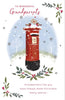 Robins and Snow Flakes Design Grandparents Christmas Card