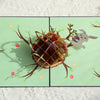 Bunny’s Basket of Cheer 3D Pop Up Easter Card