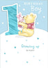 Winnie the Pooh Illustration Age 1 Boy Birthday Card