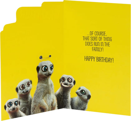 Meerkats Design Brother Birthday Card With Badge 
