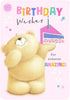 Amazing Wishes Forever Friends Birthday Card