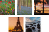 Scenic Photographic Multipack of 20 in 20 Designs Gallery Blank Cards
