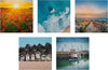 Scenic Photographic Multipack of 20 in 20 Designs Gallery Blank Cards
