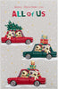 Boofles in 3 Cars From All Of Us Christmas Card