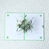 Lucky Clover 3D Pop Up Greeting Card