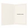 Expensive Hat Achieved Graduation Congratulations Card