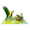 Exotic Wishes Parrot in Bloom 3D Pop Up Greeting Card