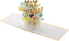 Paper Wonder 3D Pop-Up 'Yay You' Birthday Card Signature Collection