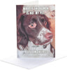 Funny Dog Design Birthday Open Blank Card