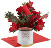 Poinsettia Bouquet Jumbo Sized 3D Pop Up Christmas Card