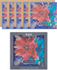 Bloom Luxury Design Multipack of 5 RHS Christmas Cards
