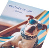 Dog in a Deckchair Design Brother In Law Birthday Card