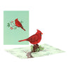 Red Cardinal Charm 3D Pop Up Greeting Card