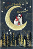 Penguins Stood on Moon Special Family Christmas Card