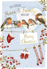 Robins On Washing Line Niece And Family Christmas Card