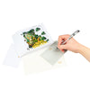 Springtime Wonders Celebration 3D Pop Up Easter Card