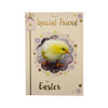 For A Special Friend Chick Design Happy Easter Card