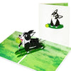 Ball and Grass Scene Boston Terrier Dog 3D Pop Up Greeting Card