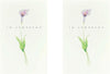 Classic Watercolour Flower Design Sympathy Bereavement Card