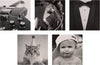 Monochrome Photographic Multipack of 20 in 20 Designs Blank Cards