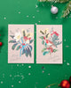Multipack of 8 RHS Rose & Robin Design Christmas Cards