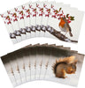 Pack of 16 in 2 National Geographic Designs Christmas Cards