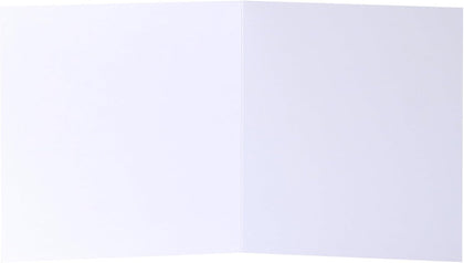 Photographic Penguins Design Open Blank Birthday Card
