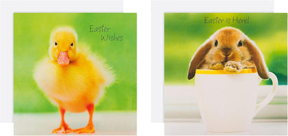 Cute Animals in 2 Photo Designs Pack Of 10 Charity Easter Cards