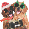 Dogs With Camera Special Friends Christmas Card