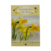 Thinking Of You Spring Daffodils and Butterflies Design Easter Card