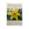 For Goddaughter Photographic Daffodils Design Easter Card