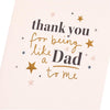 Thank You Stars Design Dad Father's Day Card