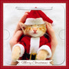 Cat In Santa Outfit Photographic 3D Lenticular Merry Christmas Card with Detachable Keepsake