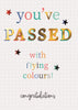 You Passed with Flying Colours! Congratulations Card