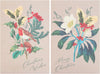 Multipack of 8 RHS Rose & Robin Design Christmas Cards
