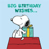 Peanuts Snoopy Big Birthday Wishes... Card