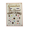 To Grandson You Passed Your Exam Stars Design Congratulations Card