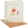Piglet & Pooh Adventure Design Grandad Father's Day Card
