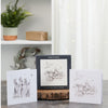 2 Religious Pencil Designs Multipack of 12 Christmas Cards