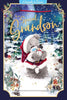 Bear With Snowman Special Grandson 3D Keepsake Christmas Card