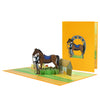 Barnside Bond Horse & Rider 3D Pop Up Greeting Card