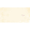 Bear Holding Daisies Softly Drawn Easter Card