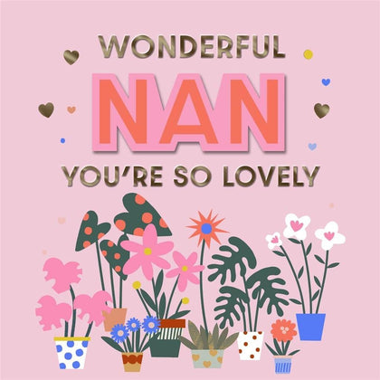 Wonderful Nan You're so Lovely Mother's Day Card
