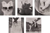 Monochrome Photographic Multipack of 20 in 20 Designs Blank Cards