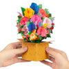 Bloom Box Garden Harmony 3D Pop Up Greeting Card