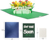 Sunflower & Carnation Garden 3D Pop Up Get Well Soon Card